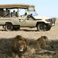 game drive in thanda