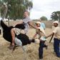 ostrich races in oudtshoorn