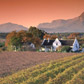 winelands