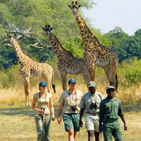 walking safari in Hluhluwe-Umfolozi Reserve