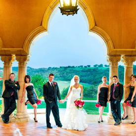 wedded couple and bridal party