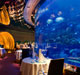 underwater restaurant at burj al arab