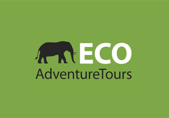 Corporate Branding Project - ECO Adventure Tours