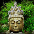 budha feature